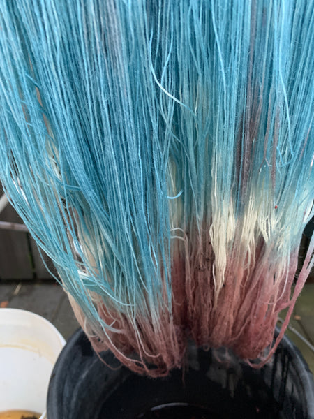 Flora Fionia - fynske plantefarver