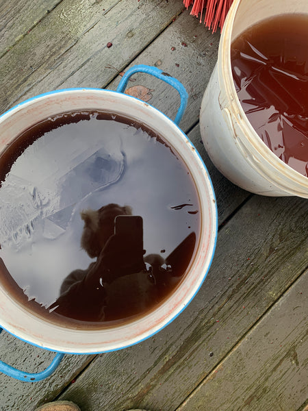 Flora Fionia - fynske plantefarver