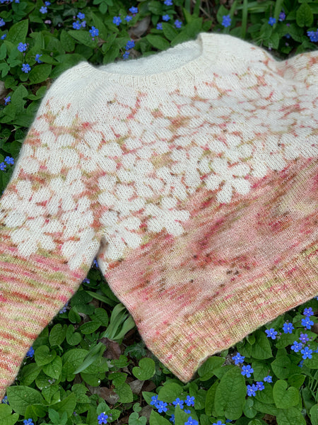 Hesselgarn Wensleydale